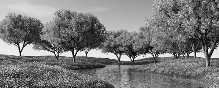 Black-and-white landscape with trees and a pond